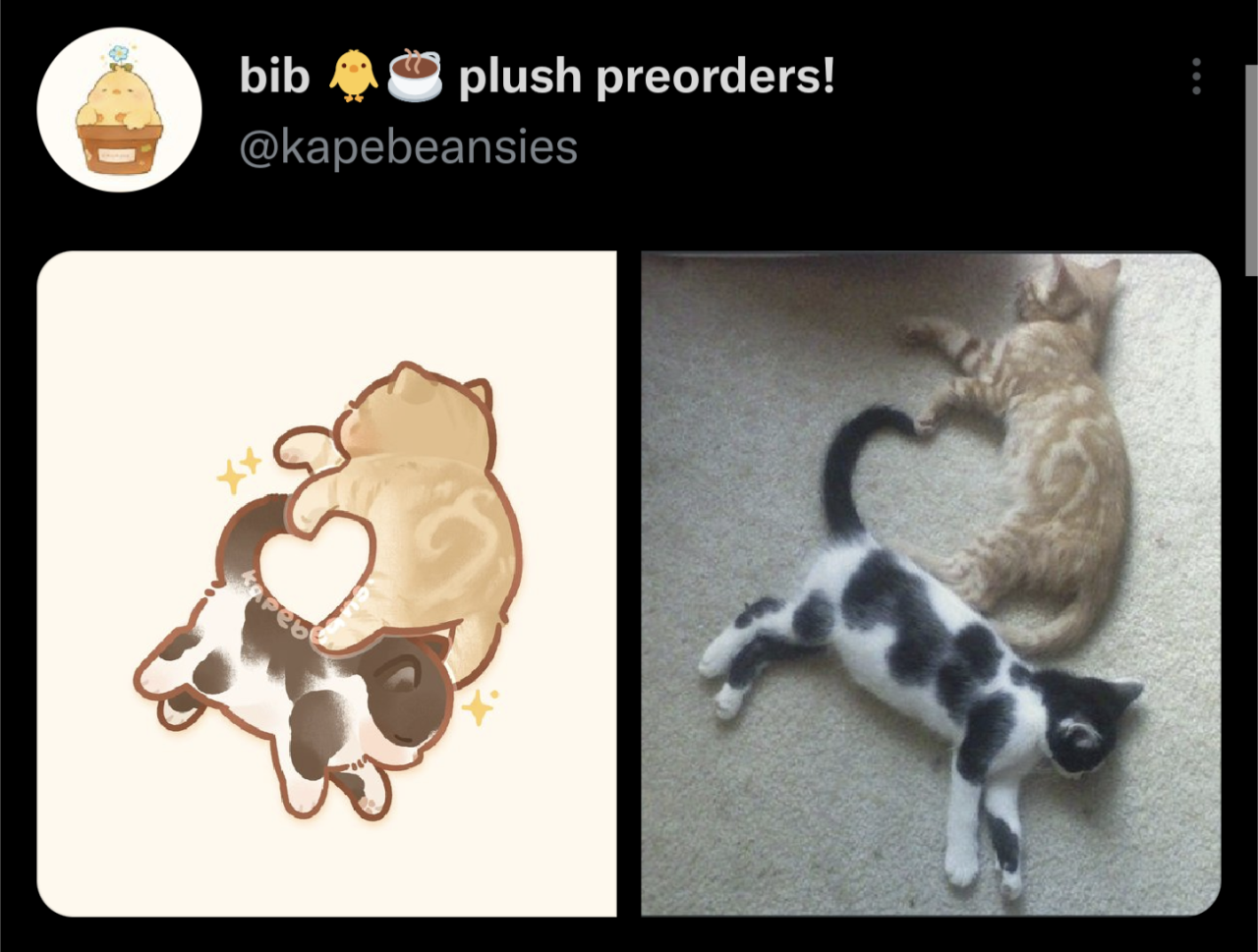 blessed kitties #blessed#wholesome