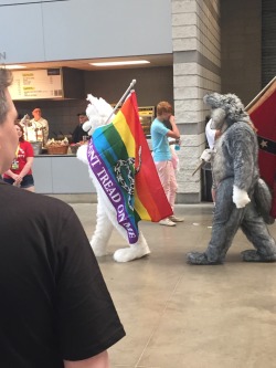 yiffmaster:  I was so focused on the first one that I didn’t even see the confed flag until I was looking at the photos 