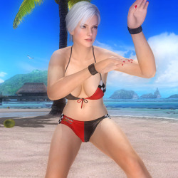 DOA Paradise