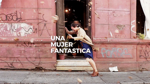 lucreciasmartel:Academy Award for Best Foreign Language Film + LATIN AMERICA  27 nominations and 4 w