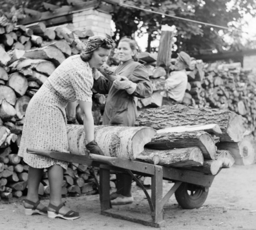 Workers busy loading a wheelbarrow with birch wood in Finland, 1942.(Finnish Museum of Photography)