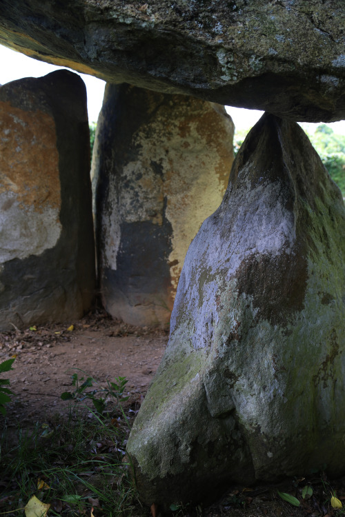 Carreg Coetan Arthur Neolithic Burial Chamber, Pembrokeshire, South Wales, 9.8.16. This is another e