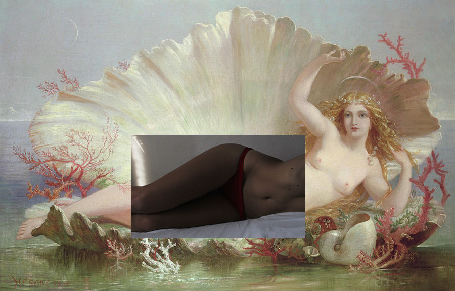 petitfawn:  camgirlproject:  camgirls project in progress, 2013 Henry Courtney Selous,