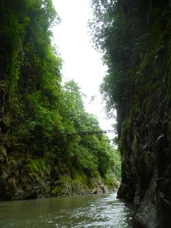 b-errykai:  guavapaya:  my photo, Pacuare River, Costa Rica   ☀ enter the tropics here ☀ 