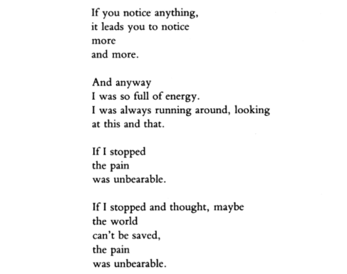 iboughtplumblossoms:dongkelley:mary oliver, “the moths” (excerpt) If you notice anything,it leads yo