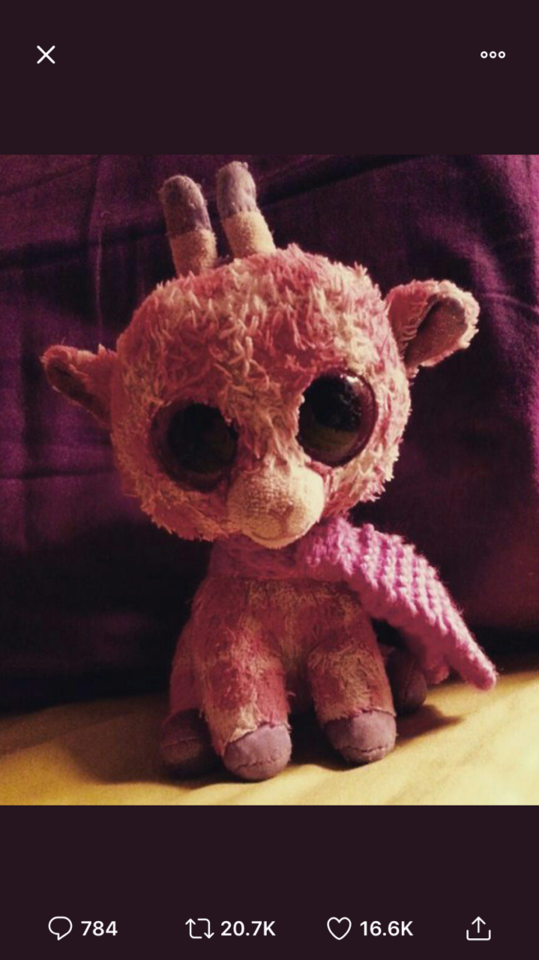 Hey Tumblrs! This Little Guy Was Lost Three Days Ago; Lets Signal Boost This And See If We Can Find Him!