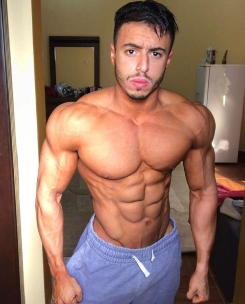 Everyone’s asking for my babe’s body shot. Heeerrrreeeee you go, Mahmoud in all his Arab god muscle 