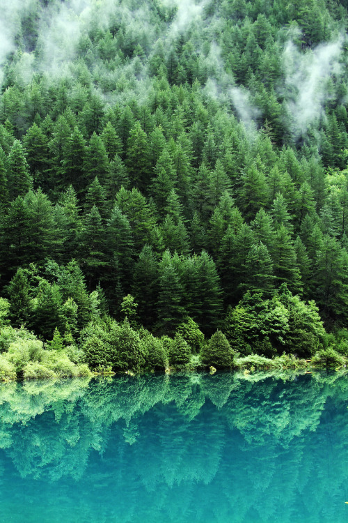 sleepypsychedelia: Jiuzhaigou Valley