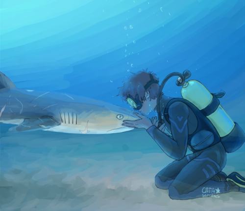 cata-strophes: ⚠ do not kiss sharks without proper equipment or supervision ⚠ miguel and i were talk