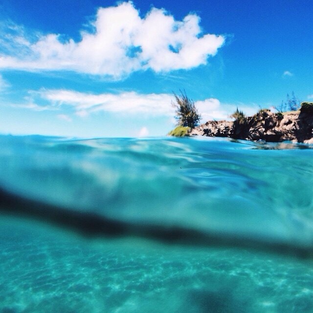 silky-sand:  XXX