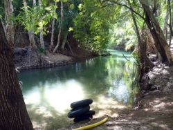 tropiqua-l:  oceaniatropics:  adel’s grove, Boodjamulla National Park, NT/Qld border, Australia   🌴 q’d active tropical blog and i follow back similar :) 🌴