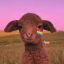goat-teru