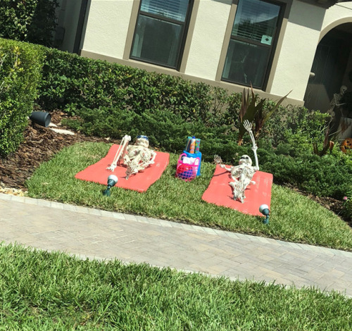 thedevilinthestudio:Can I just say that you need to befriend these neighbors because they seem like 