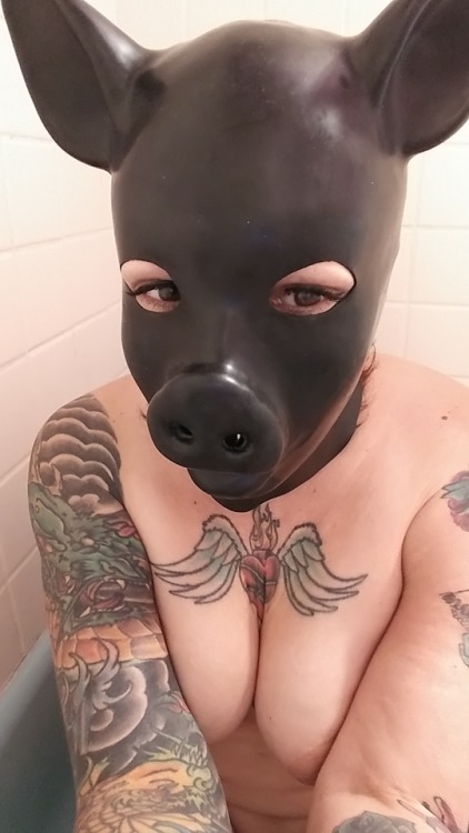 Sex johnnypuppy:  kako-pup: Snort Oink oink! pictures