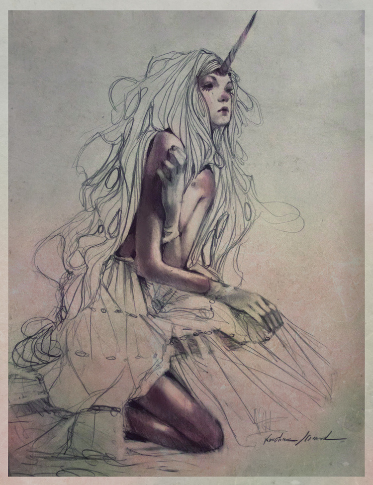 lohrien:  Illustrations by Kristin Baugh Shiraef  