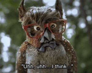 portlandia:  Animal stereotypes are wrong. 