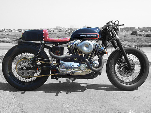 caferacerdesign:  Cafe Racer Design SourceHarley Davidson XL1200S @caferacerdesign