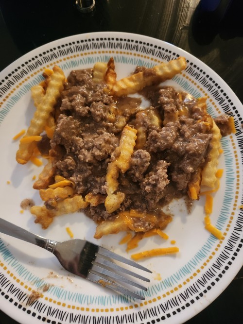 I Was Making Supper For The Fam And I Put Chicken Gravy With Hamburger For Poutine And The Whole Time