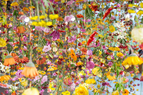 sad-plath: rebecca louise law