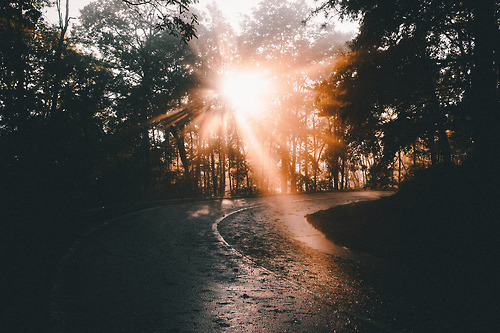 foresity:  Solar explosion (by ikhals)