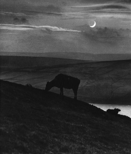 Bill Brandt. Oakworth Moor, Yorkshire. November. 1944