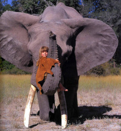 ovdbaby:  triparto:  Tippi of Africa  me