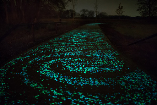 asylum-art:  Daan Roosegaarde&rsquo;s glowing  Van Gogh cycle path to open in
