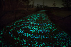 Asylum-Art:  Daan Roosegaarde&Amp;Rsquo;S Glowing  Van Gogh Cycle Path To Open In