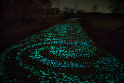 asylum-art:  Daan Roosegaarde’s glowing 