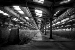 destroyed-and-abandoned:  Central Railroad of New Jersey Terminal, 2008 Source: -rabid- (reddit)