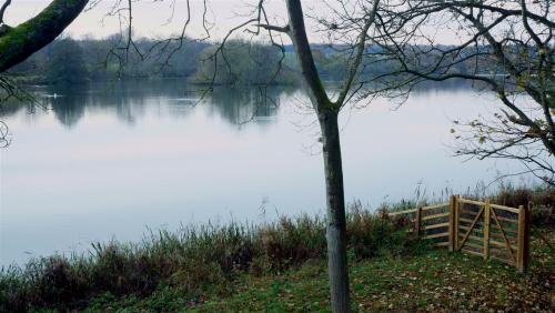 Lake Side at Stately Home Castle Howard, North Yorkshire, England. 