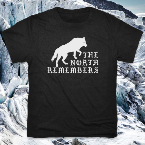 the north remembers