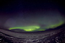 sameristumbling:   	Northern Lights Iceland by nic muller    