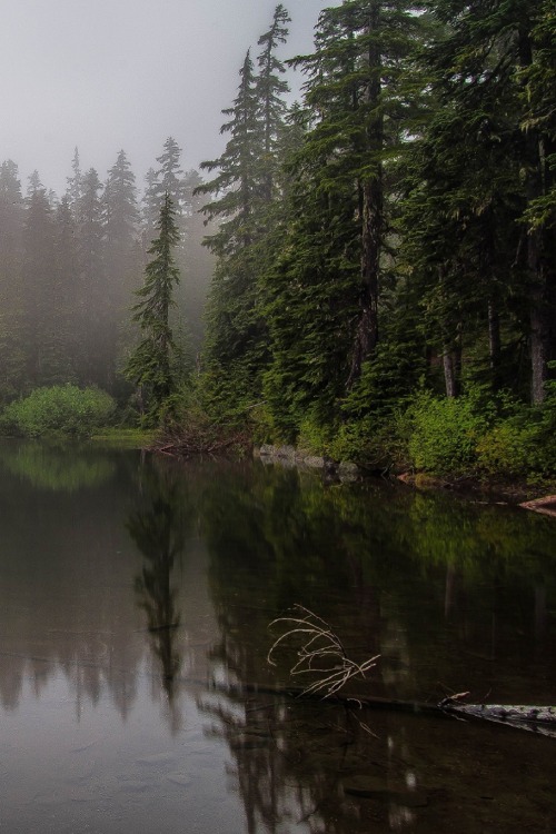 sublim-ature:  Thomas Lake, WashingtonCooper Franklin 