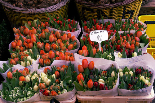 Tulpen - Amsterdam by Jan Vermeij on Flickr.