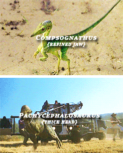 jurassicdaily:  Dinosaurs in the Jurassic Park films (1993-2015)