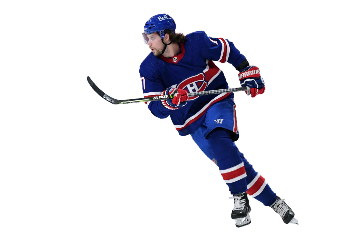 4,116 Josh Anderson Hockey Stock Photos, High-Res Pictures, and Images -  Getty Images