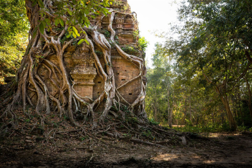 Sambor Prei Kuk temple, Angkor, Cambodia, photos by Kevin Standage, more at https://kevinstandagepho
