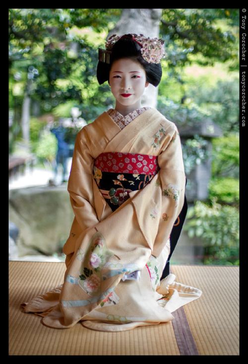 Sex okiya:  Maiko Miena, Miyagawacho Japan - pictures