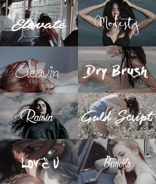 photowshop: Fonts by photowshop #01 like or reblogElevate - Modesty - Cleavin - Dry Brush - Raisin