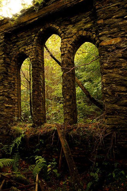 bonitavista:  Wales photo via ron 