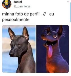 brutamente-meiga: