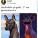 brutamente-meiga: