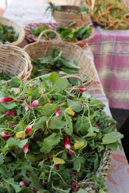 Santa Monica Farmers MarketLocation: Santa Monica, CANothing compares to the California farmer’s mar