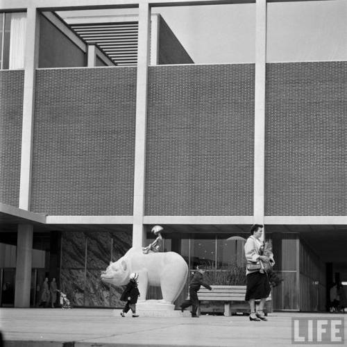 Northland Center(Allan Grant. 1954?)