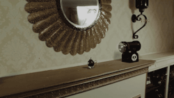 Cineraria:  Mario Is Destroying My House! - Youtube
