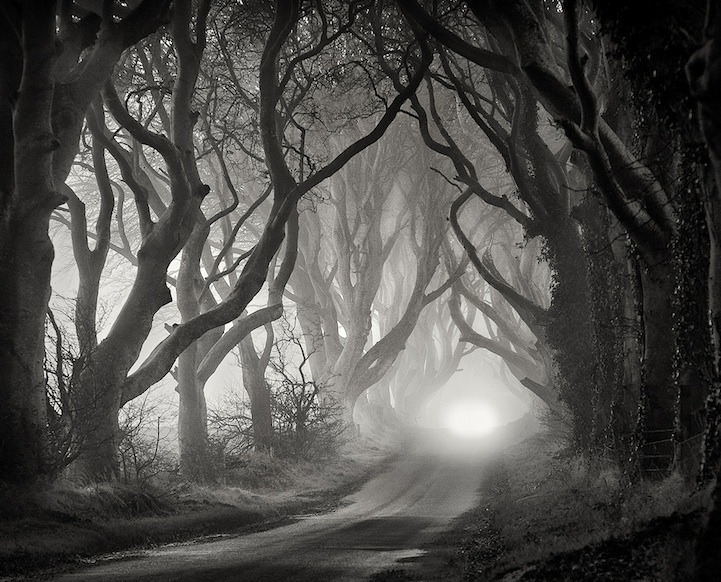 taktophoto:  The Dark Hedges Ireland’s Beautifully Eerie Tree-Lined Road 