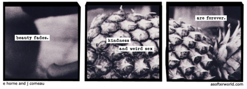 softerworld:  A Softer World: 1101 (be more kind of weird together) buy this print