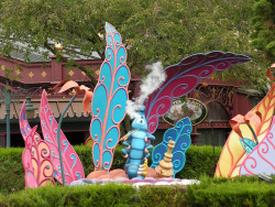  Disneyland Paris - The Caterpillar 