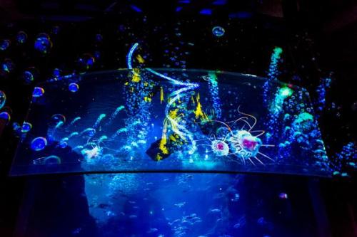 Fashion Press ‏@fashionpressnet  【今夜スタート】世界初！3Dで体験する“夜の水族館” 新江ノ島水族館で「ナイトアクアリウム」開催 - http://www.fashi